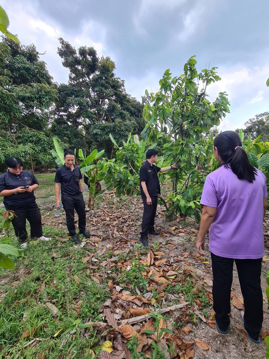 title - ผู้ตรวจราชการกรม ประชุมติดตามผลการดำเนินงานตามแผนการตรวจราชการของ ส.ป.ก. ประจำปีงบประมาณ พ.ศ. 2569 รอบที่ 1 จังหวัดประจวบคีรีขันธ์